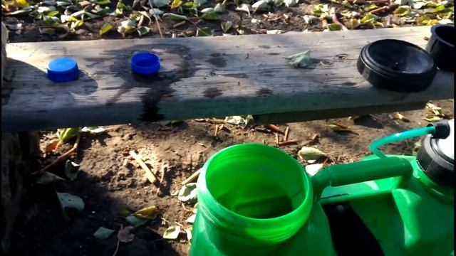 Профилактика болезней на винограднике, выжигающая обработка 5% раствором железного купороса (ЖК) смотреть онлайн