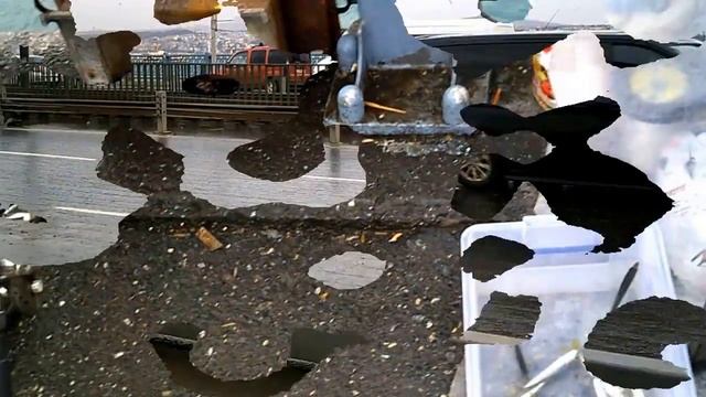 Сардинки бухты 