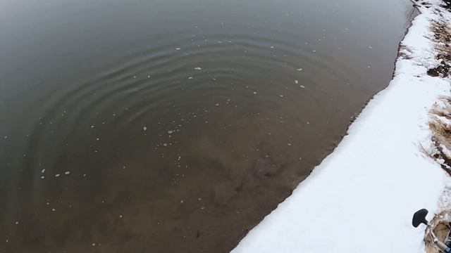 Зимний спиннинг в Новый Год! рыбалка на джиг и воблеры смотреть онлайн