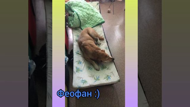 С днём рождения нас :)) смотреть онлайн
