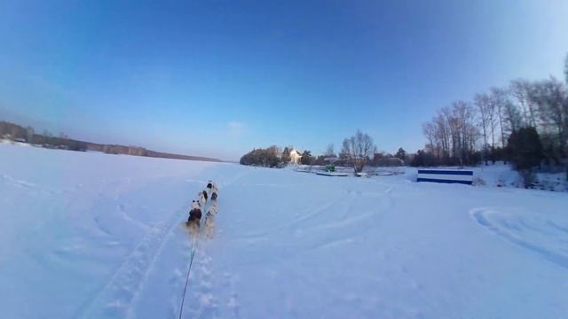 Зимний день с Хаски смотреть онлайн