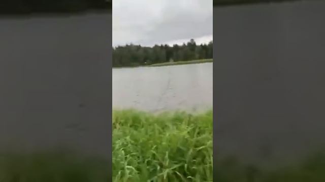 Земля Подмосковье смотреть онлайн