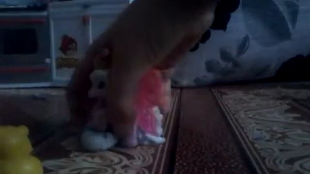 Мультик про животных очень интересно смотреть онлайн