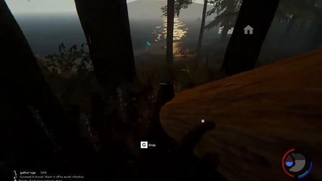 TheForest | #2 | V0.33 | Больше приключений!