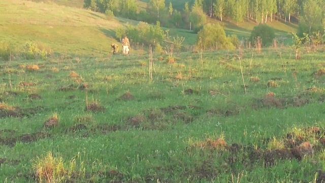 Дирхемы на склоне.Часть первая. смотреть онлайн