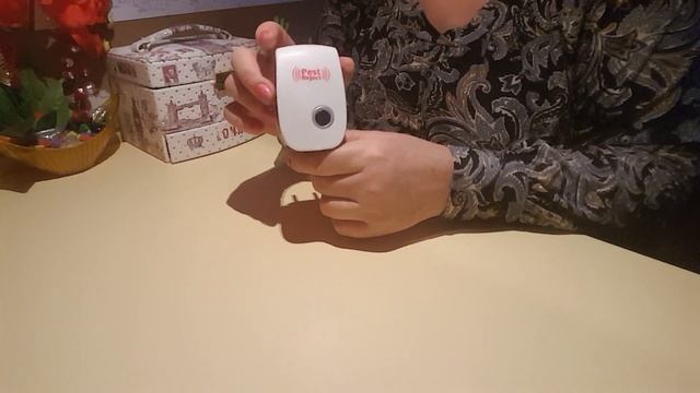 Я избавилась от муравьев в квартире. Прибор от тараканов смотреть онлайн