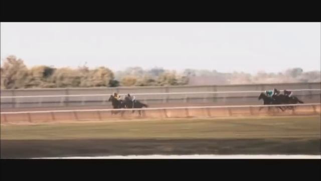 Секретариат смотреть онлайн