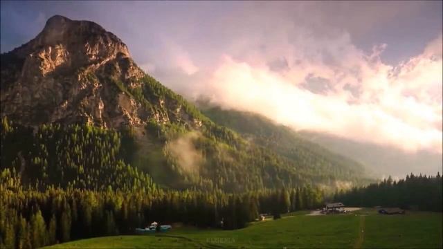 Memory (память) из мюзикла "Кошки" | Авторское исполнение смотреть онлайн