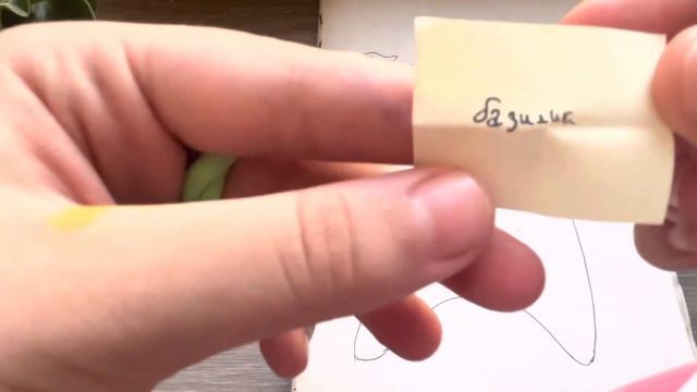 🥑Бумажный Авокадик☘️//Новая рубрика//🪴Травник🍀Базелик🤫 смотреть онлайн