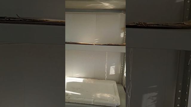 МОЕ РАБОЧЕЕ МЕСТО И МОЯ ЛОДЖИЯ. смотреть онлайн