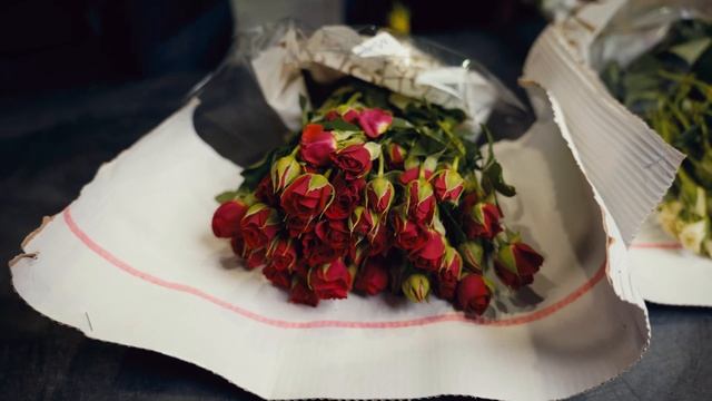 Эти кусты должны быть в каждом магазине! | Цветы оптом | Плантация ZeeFlora | Кустовая Роза смотреть онлайн