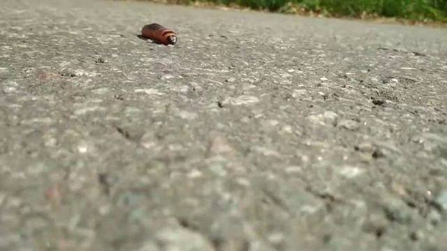 Огромная Красная Гусеница!!! смотреть онлайн