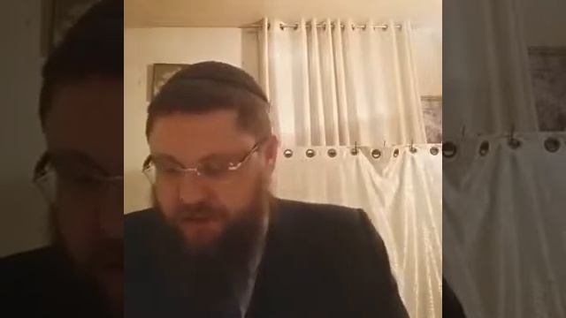 Законы Хануки. рав Хаим Бриск смотреть онлайн