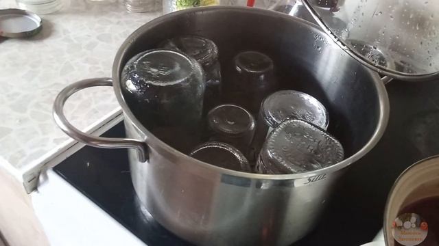 Желе из крыжовника смотреть онлайн