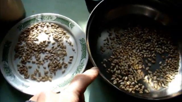 Пища под защитой