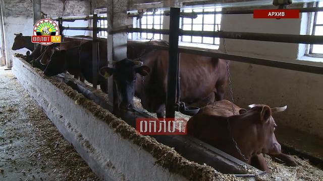 Инновации в ДНР смотреть онлайн