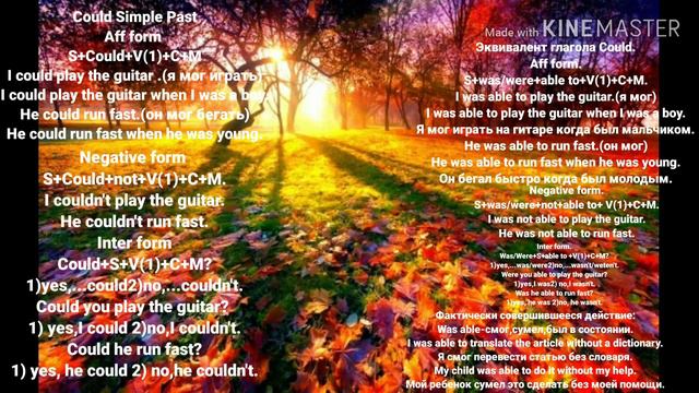 Глагол Could Simple Past. смотреть онлайн