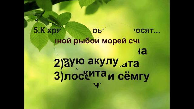 Тест по биологии РЫБЫ смотреть онлайн