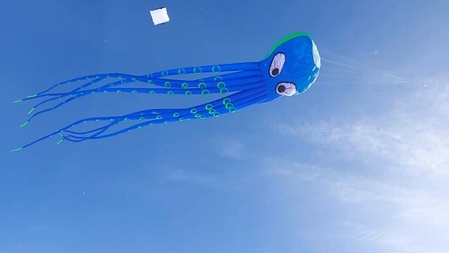 Part 1 - 2023 Okoboji Winter Games Kite Festival (Prep & Play) смотреть онлайн