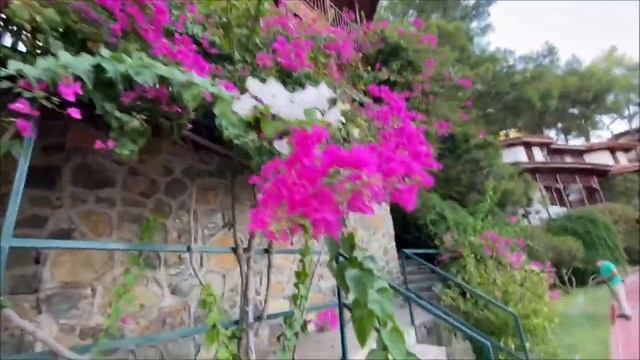 Природа Турции  Релакс