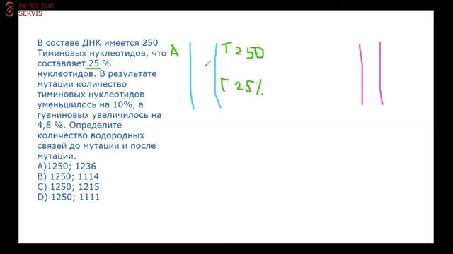 Биология. Решение задач на ДНК и РНК смотреть онлайн