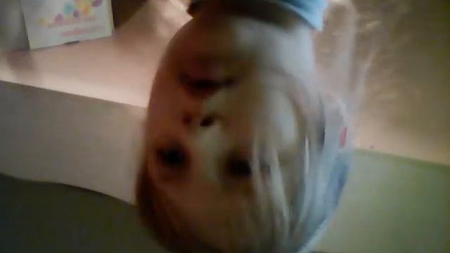 Я просыпала землю смотреть онлайн