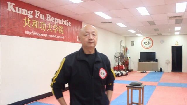 Kung Fu training at home 2020 for beginners: Shaolin Iron Palm Kung Fu Training step by step смотреть онлайн