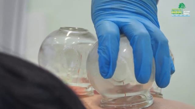 Санаторий «Сосны» Белоруссия, Минская область смотреть онлайн