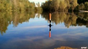 Уклейка . Описание, образ жизни, как ловить.