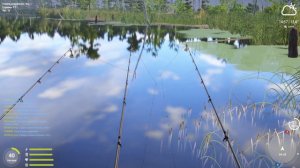 ОТЛИЧНЫЙ КЛЕВ ЧЕРНОГО И БЕЛОГО АМУРА НА ОСТРОГЕ НА НОВОЙ ТОЧКЕ В РУССКОЙ РЫБАЛКЕ 4 РР4
