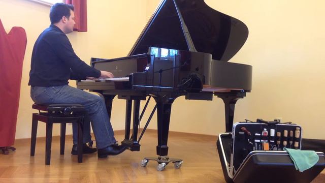 Steinway & Sons B-211 Dallmayr Prodomo смотреть онлайн