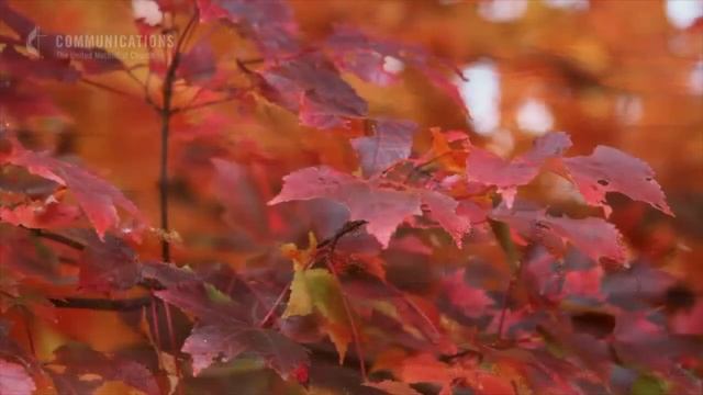 November 19, 2023 - 10:45am Contemporary - “Releasing God’s Blessings: Thanksgiving" смотреть онлайн