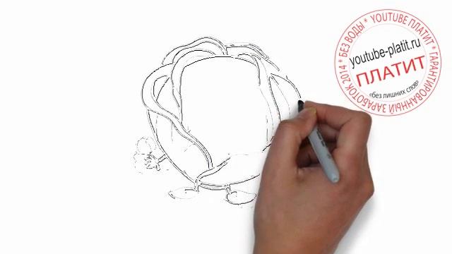 Учимся рисовать овощи Как поэтапно карандашом нарисовать веселую капусту брокколи смотреть онлайн