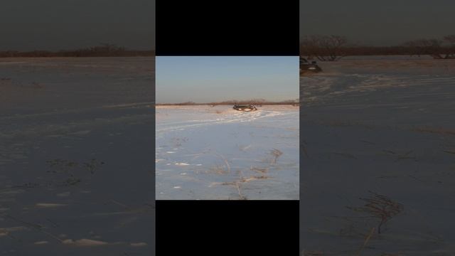 Нива может смотреть онлайн