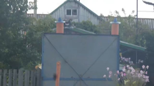 руки из того места растут смотреть онлайн