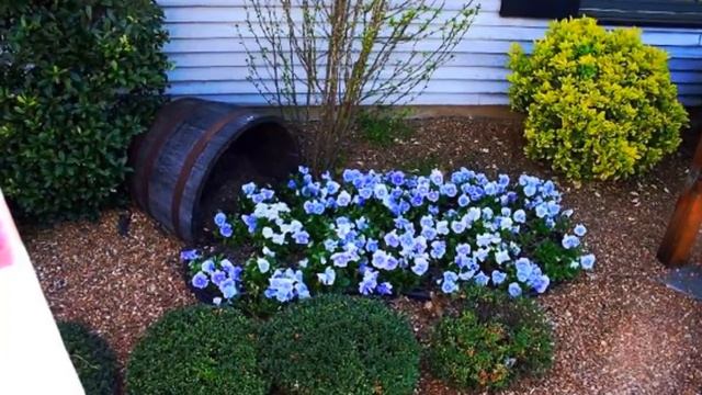 86 идей для Сада | Бюджетные идеи красивый полисадник | Ландшафтный дизайн Цветы в саду смотреть онлайн