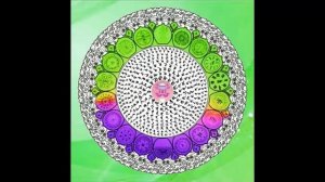 Mahamayuri Dharani ☆ 佛母大孔雀明王陀羅尼