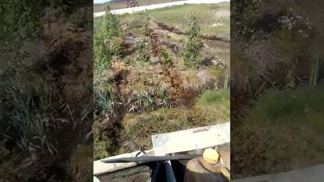 Угут болото смотреть онлайн