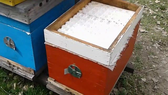 Выращивание трутней смотреть онлайн