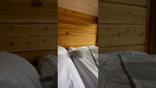Гостевой дом Горчакова на острове Ольхон , обзор барнхауса , размещение на двоих гостей смотреть онлайн