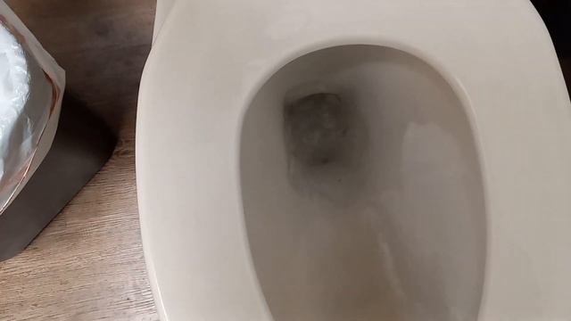 Gerber Toilet at a Furniture Store смотреть онлайн