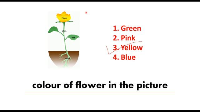 50 Gk Question And Answer In English For Kids | India Gk | Gk Question And Answer