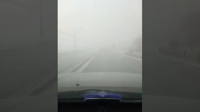 Рассказ о появляющихся из тумана и исчезающих в тумане машинах. смотреть онлайн