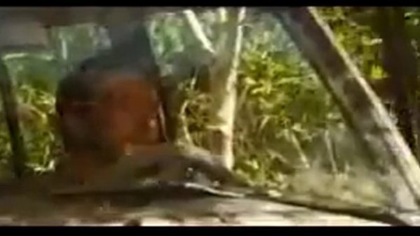 Селестинские пророчества По книге Джеймса Редфилда Селестинские пророчества