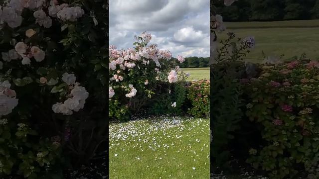 Бывают моменты, когда вы чувствуете себя ребячливым, так что приумножьте эти моменты.. смотреть онлайн