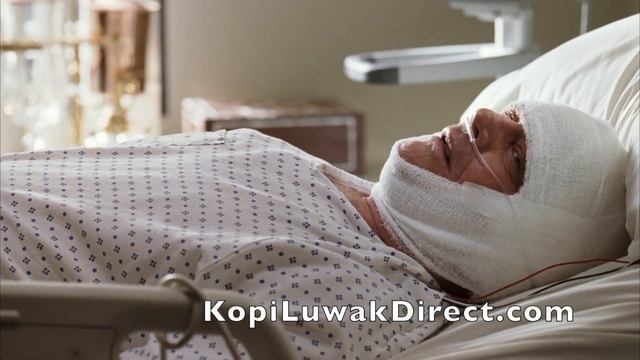 Kopi Luwak Coffee The Bucket List смотреть онлайн