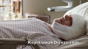 Kopi Luwak Coffee   The Bucket List