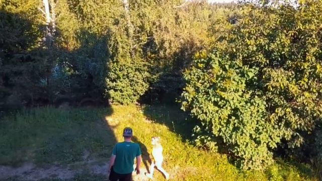 Игры на ПК и Консолях