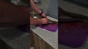 КАК ЛЕГКО И БЫСТРО ПОЧИСТИТЬ СУДАКА РАЗДЕЛКА СУДАКА