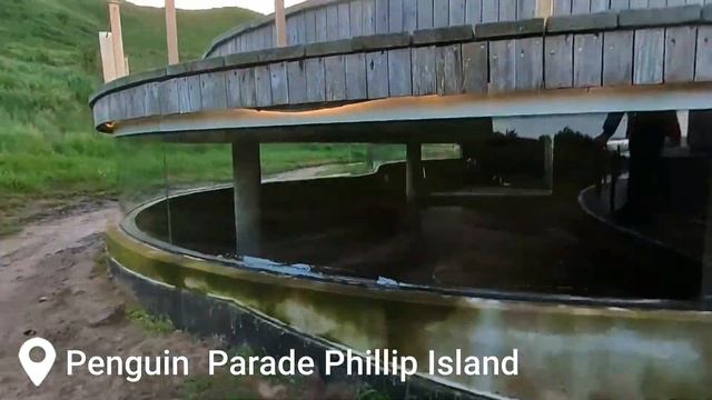Things to do at Phillip Island, Australia смотреть онлайн